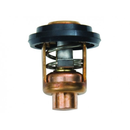 Kit thermostat Yamaha 9,9 à 55 hp - Sierra