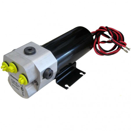 Pompe réversible T1 - 12v - RAYMARINE