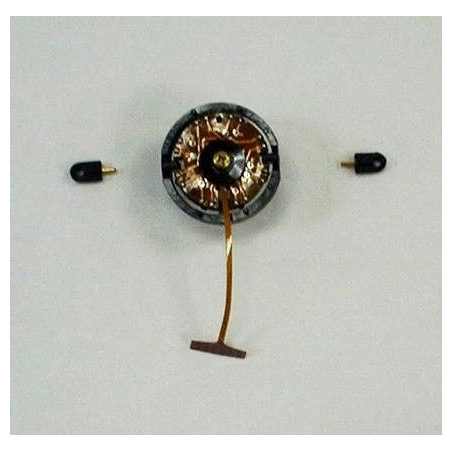 Compas Fluxgate M022 - RAYMARINE