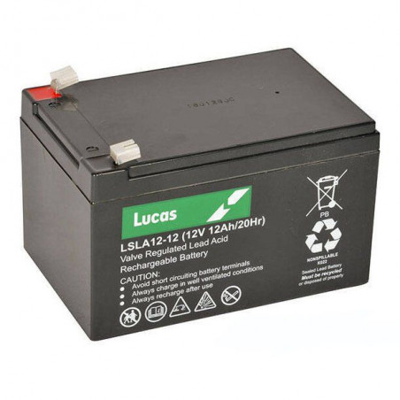 Batterie AGM pour sondeurs 12 V - 7Ah - LUCAS