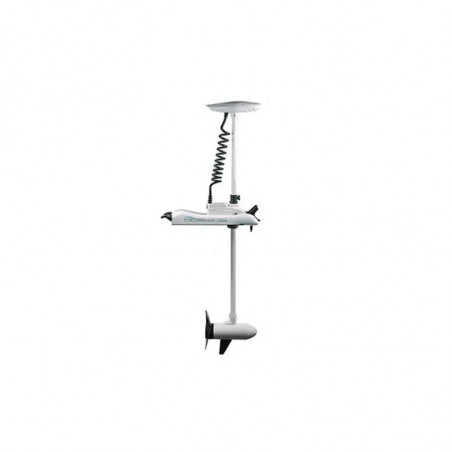 Moteur electrique haswing cayman b 80 lbs